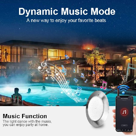 Tadpole Led 12V Resin Filling Decorative Remote Controlled Ip 68 Stainless Steel Waterproof Underwater Swimming Pools Light